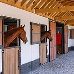 Lady - Charming double room at ranch De Blauwe Zaal