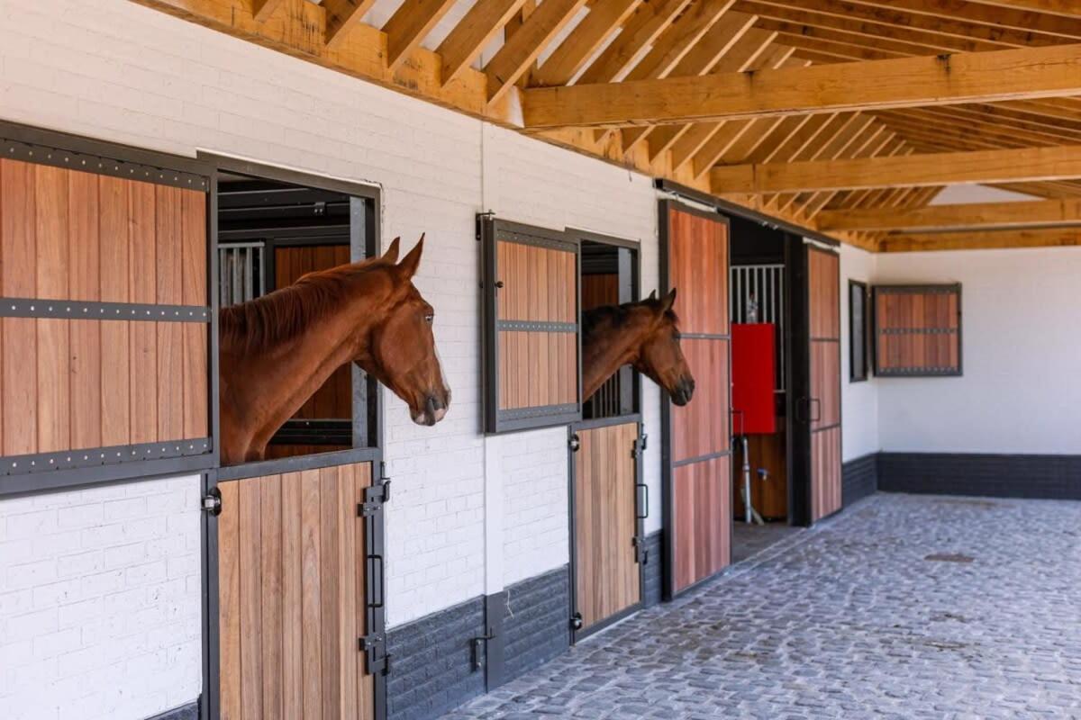 Lady - Charming Double At Ranch De Blauwe Zaal