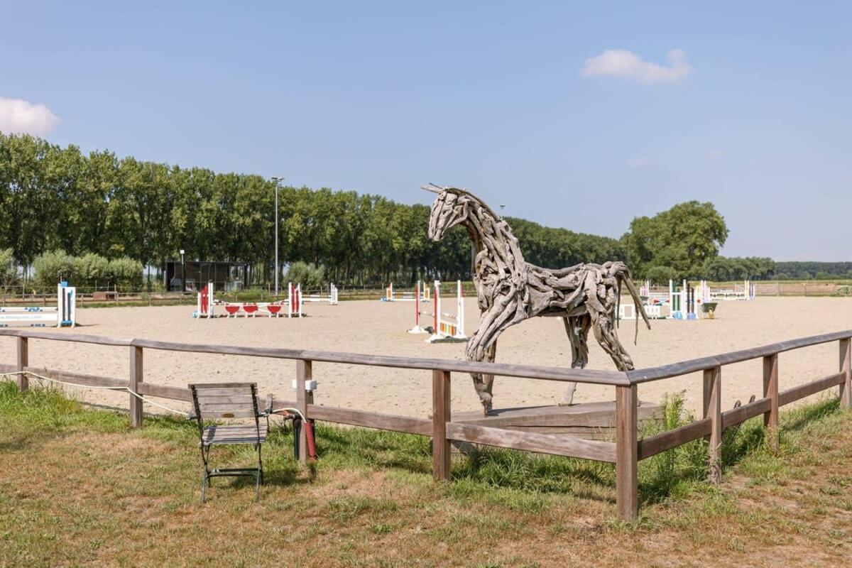 Vakantiehuis Lady - Charming Double At Ranch De Blauwe Zaal