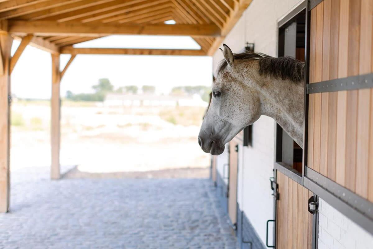 Lady - Charming Double At Ranch De Blauwe Zaal Vakantiehuis Brugge